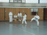 Karatelehrgang in Ganspe (26.04.2009)